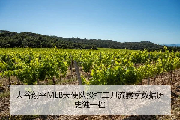 大谷翔平MLB天使队投打二刀流赛季数据历史独一档